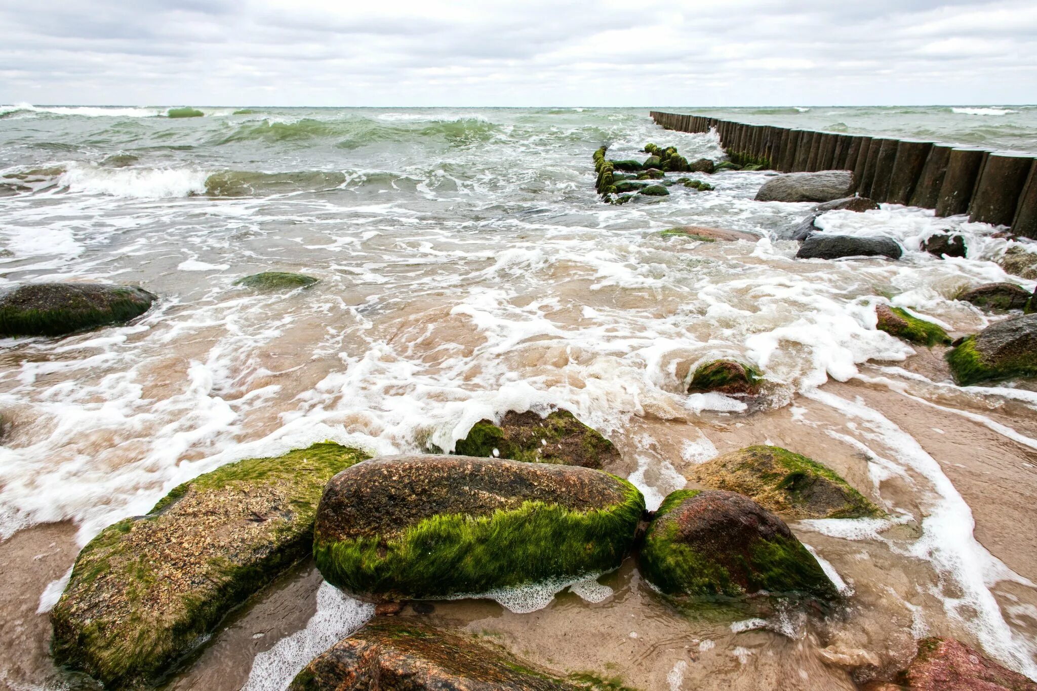 Море в зеленоградске сейчас. Балтийское море Зеленоградск. Шторм в Зеленоградске. Балтийское побережье после шторма. Балтийское море зимой Зеленоградск.