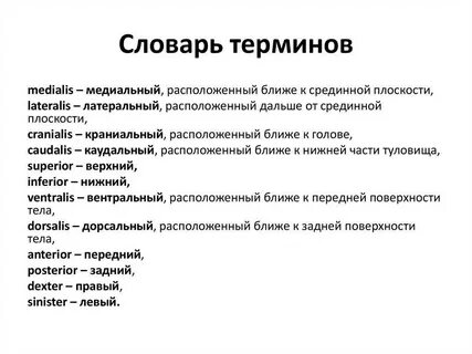 Специфический словарь