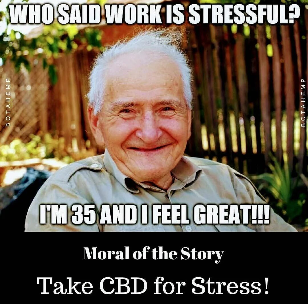 Go home said the teacher. Who says teaching is stressful. Who said teaching is stressful. Who says. Stress memes.
