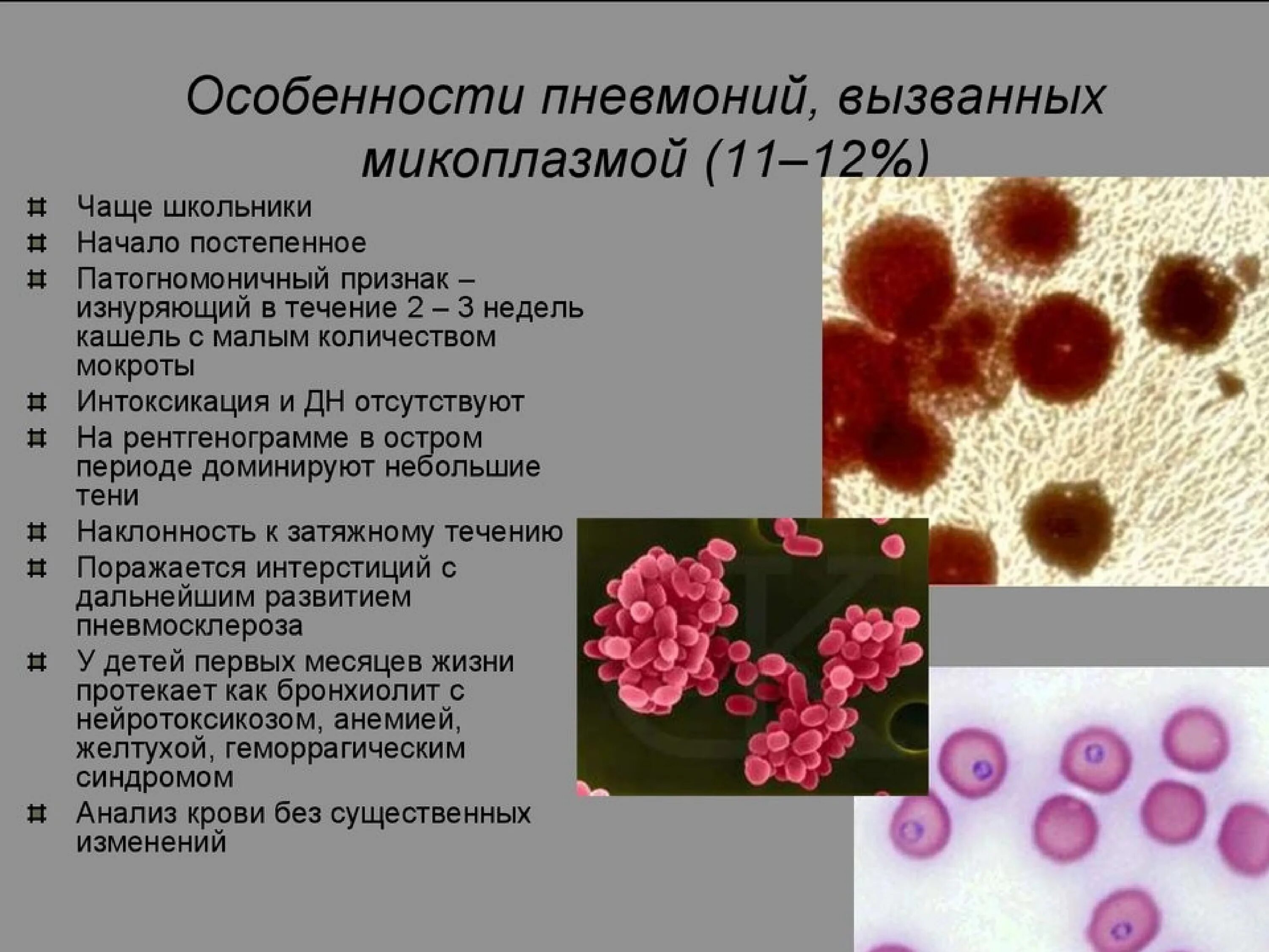 Микоплазменная пневмония симптомы у взрослых лечение. Микоплазмы - возбудители заболеваний дыхательных путей. микоплазма пневмония микроскопия. mycoplasma pneumoniae микробиология. патогенные микроорганизмы микоплазмы.