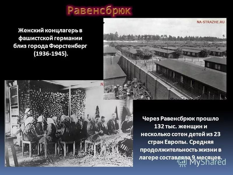 Равенсбрюк концентрационный лагерь. Освенцим Треблинка Бухенвальд Дахау Майданек. Дети-узники концлагеря Равенсбрюк. Лагеря в Германии Равенсбрюк. Фашистские концлагеря презентация