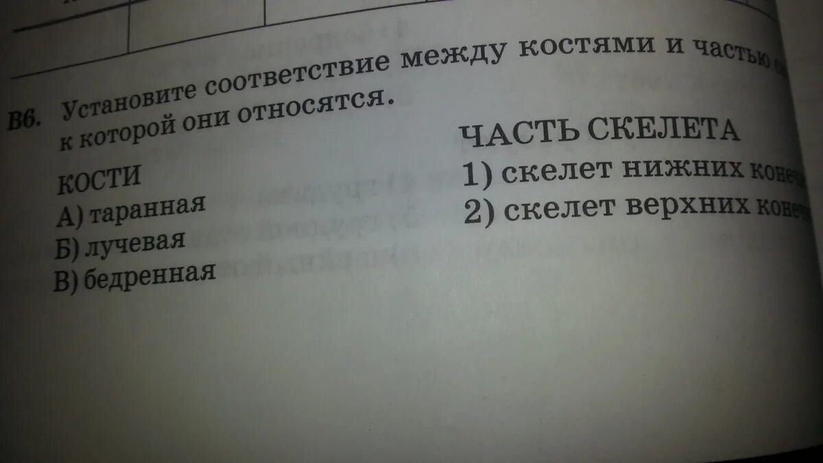 Установите соответствие между скелетом и костями.