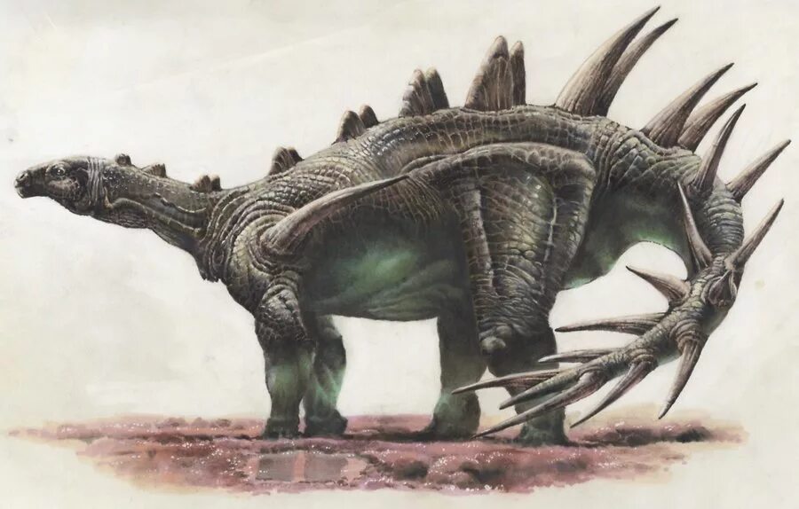 Дацентрурус динозавр. Кентрозавр Кентрозавр. Тиреофоры динозавры. Dacentrurus armatus. Травоядные динозавры с шипами