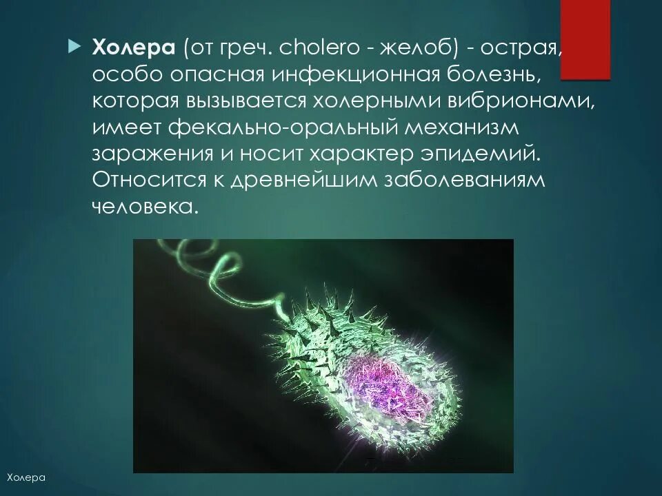 Известно что холерный вибрион вид подвижных. Холерный вибрион для презентации. Холерный вибрион относится к. Холера возбудитель заболевания.