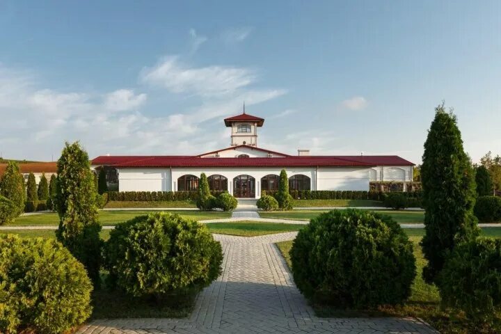 В поисках счастья: дневник путешествий КАК ПОТРАТИТЬ