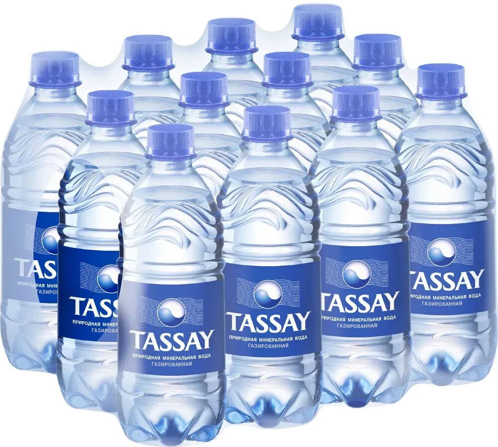 Минеральная вода Tassay. Tassay вода 0.5. Тассай вода ПЭТ 0.5. Вода Tassay 0.5л. Вода газированная 0 5