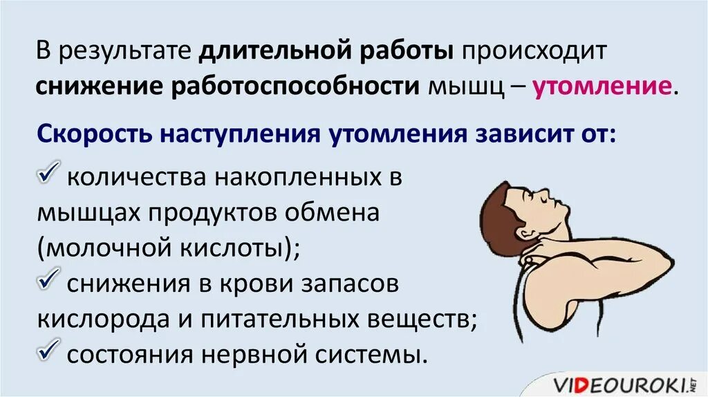 Утомление мышц быстрее наступает при работе. Особенности выделения при мышечной работе.
