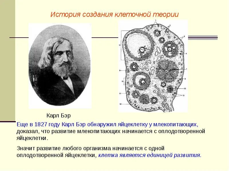 Создание клеточной теории является