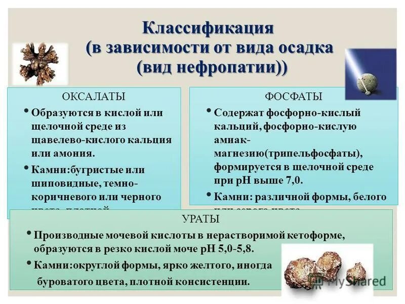 Неорганические вещества слюны. Фосфаты содержатся. Фосфаты содержатся. Нахождение в природе фосфора. Фосфаты содержатся.