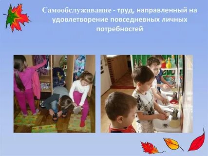 Трудовая деятельность самообслуживание