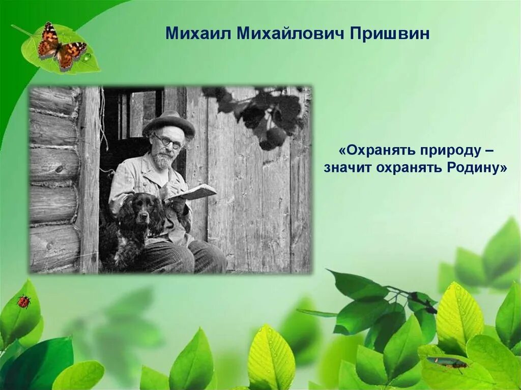 М пришвин охранять природу значит охранять родину. Михаила Михайловича Пришвина этажи леса. Пришвин охранять природу.