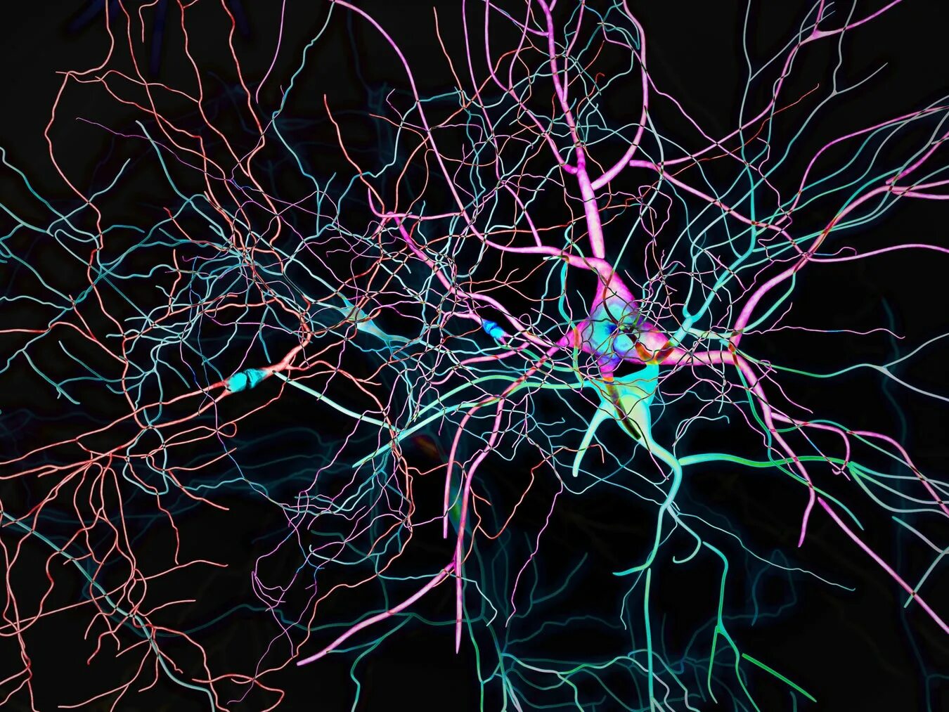 Включает несколько слоев нейронов. Нейронные связи головного мозга синапсы. Мозг Нейроны синапсы. Нейронные микросети. Нейросеть синапс.