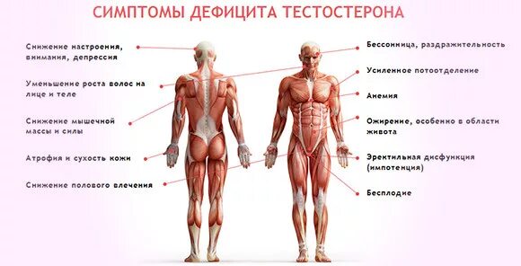 Повышенный тестостерон у мужчин признаки. Симптомы дефицита тесто. Тестостерон у женщин. Симптомы дефицита тестостерона. Повышен тестостерон у женщин.