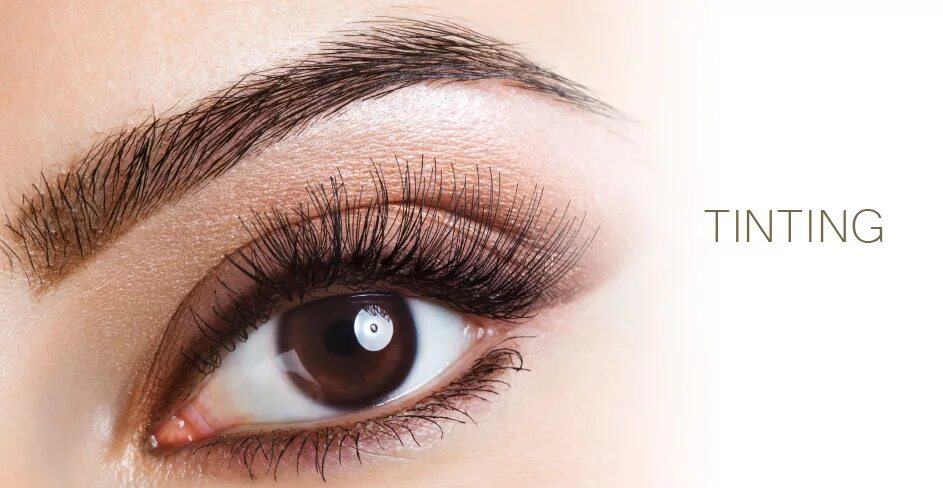 Brown lashes. Фон для визитки ресницы. Брови и ресницы. Брови фон. Визитки брови.