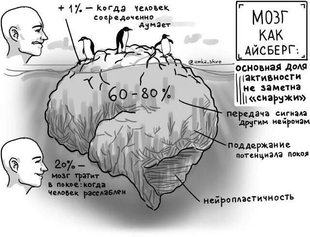 На сколько задействован мозг. Мозг человека 100 процентов. Мозг человека используется на процентов. На сколько задействован мозг. На сколько задействован мозг.