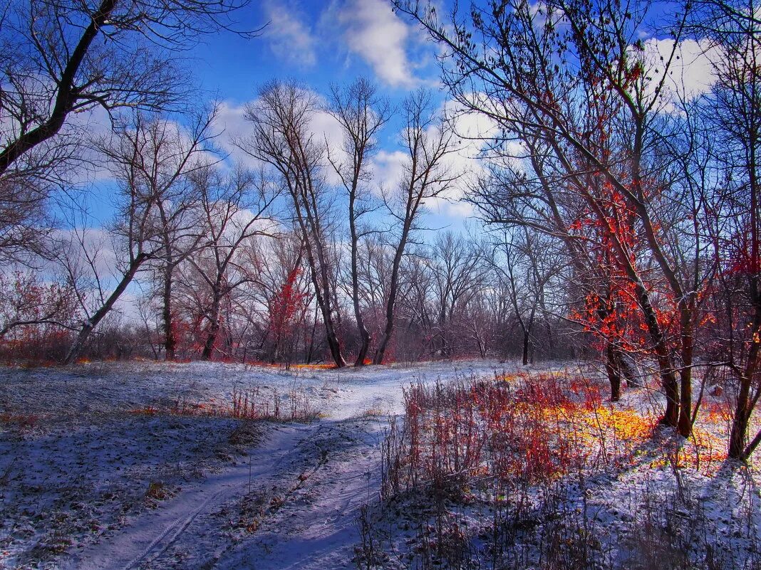 Самая поздняя зима. Ранняя зима. Природа ранняя зима. Поздняя зима. Пейзаж ранняя зима.