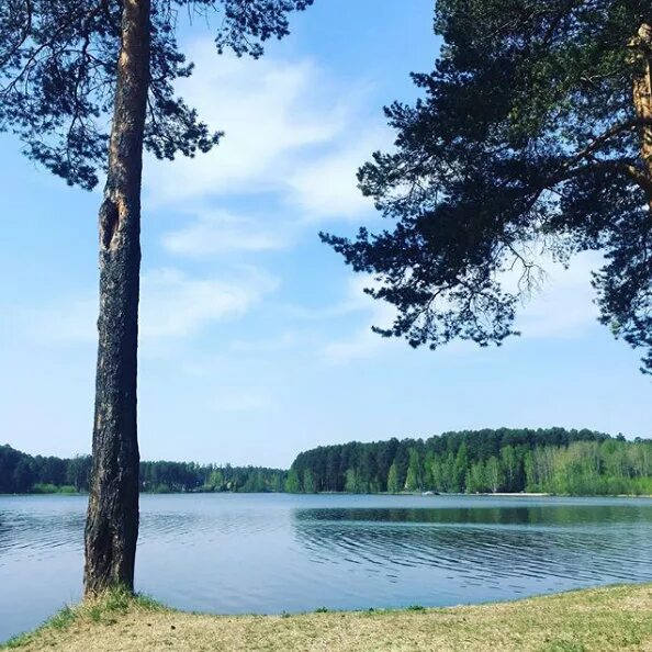 малый исток. парк малый исток екатеринбург. малый исток (природный парк). малый исток. озеро исток екатеринбург.