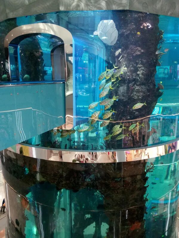 Трещина бассейна. Аквариум в Берлине. Лифт в аквариуме. Лифт в океанариуме. Самый большой цилиндрический аквариум в ТЦ.