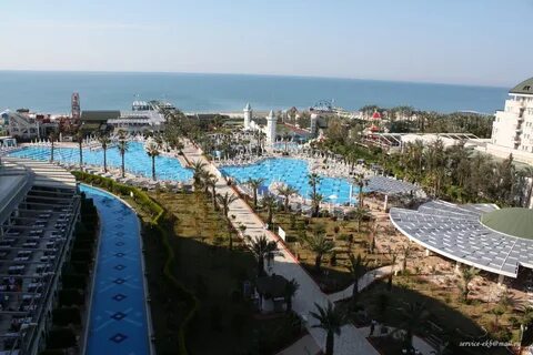 Delphin imperial 5