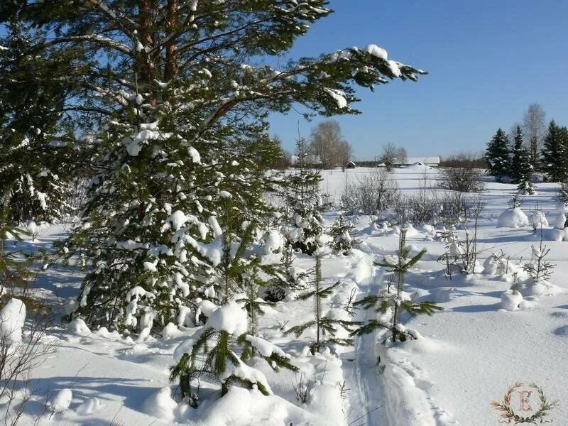 Зима февраль. Февраль месяц природа. Последние деньки зимы. Февраль картинки. Полный месяц февраля