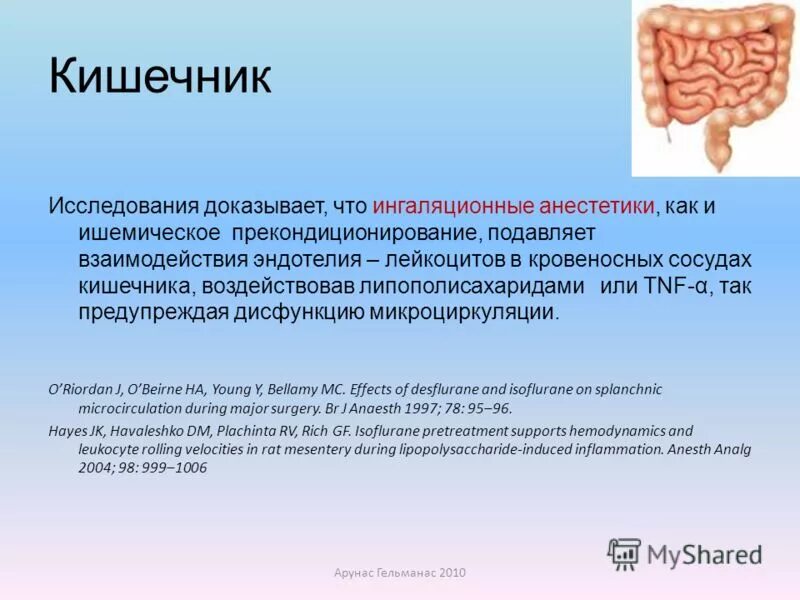Колоноскопия подготовка пациента. Исследование кишечника. Инструментальные исследования тонкого кишечника. Обследования кишечника у взрослых. Обследование тонкого кишечника методы.