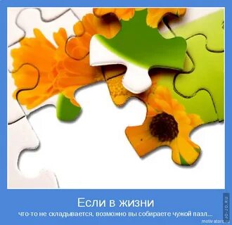 Собирай жизнь