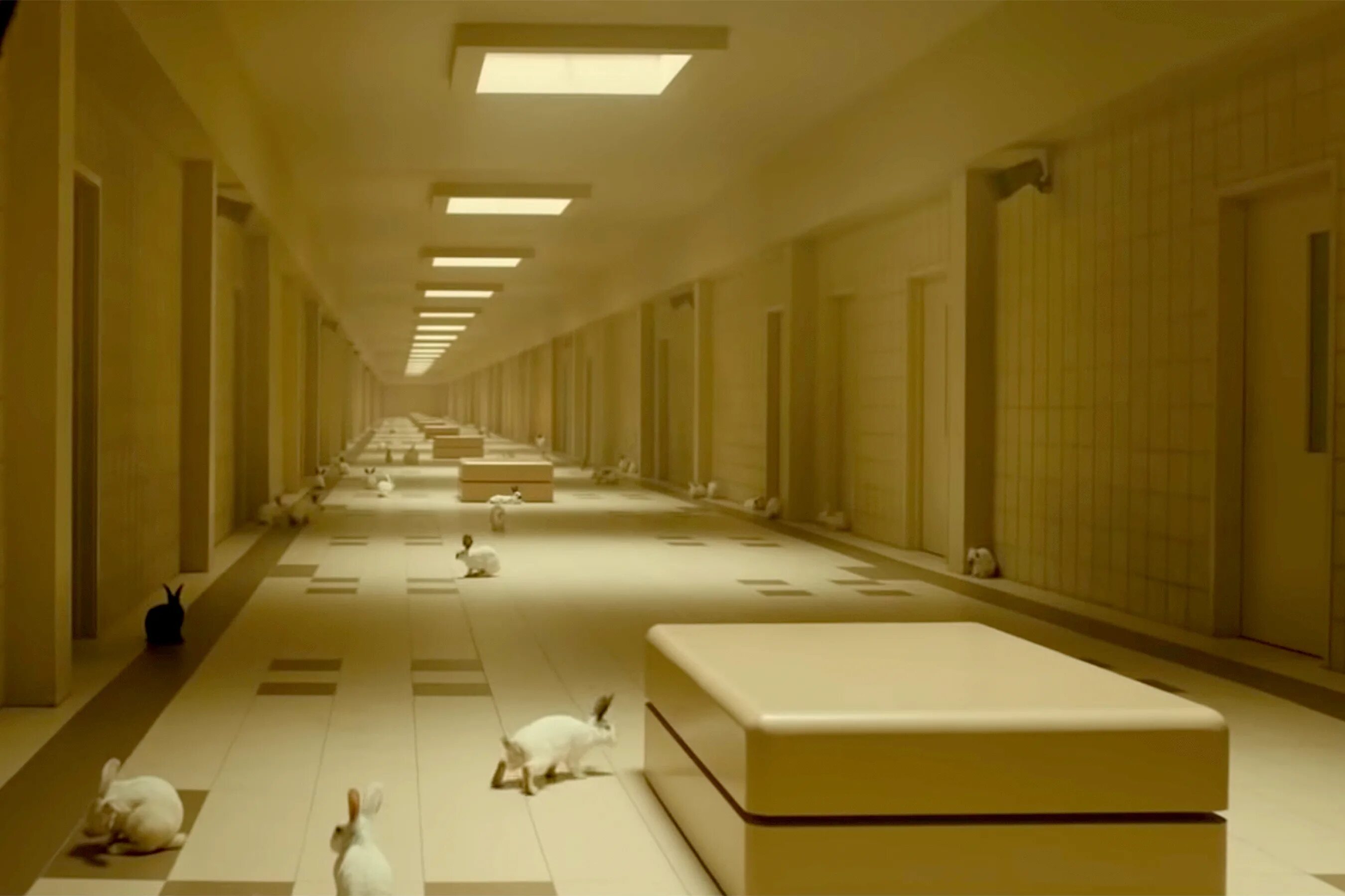 Закулисье жёлтые коридоры. Backrooms крипипаста. Backrooms пол. The backrooms в реальности. Backroom комнаты.