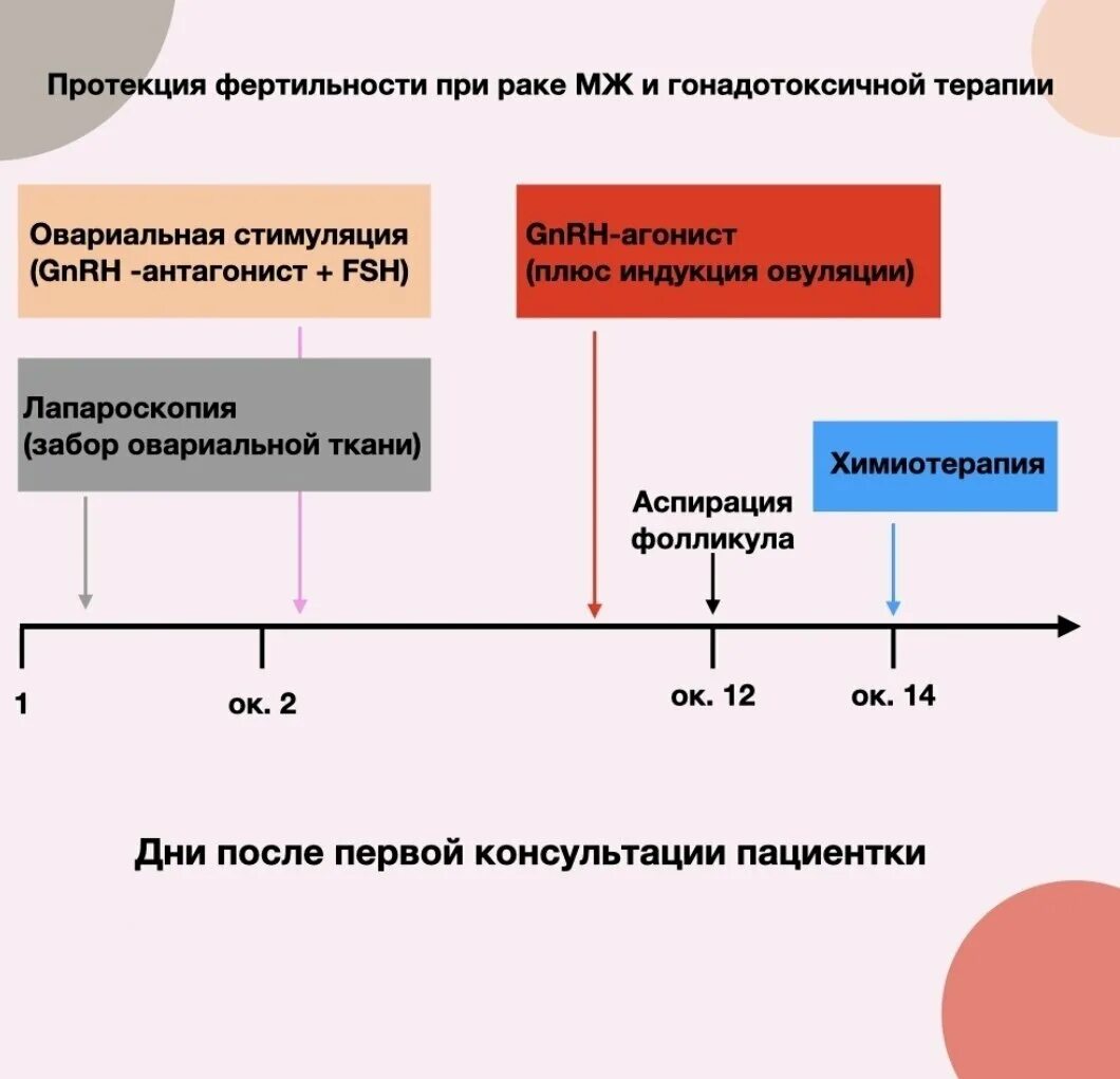 Фертильные дни. Фертильные дни рассчитать. Определение фертильных дней. Фертильный белок.