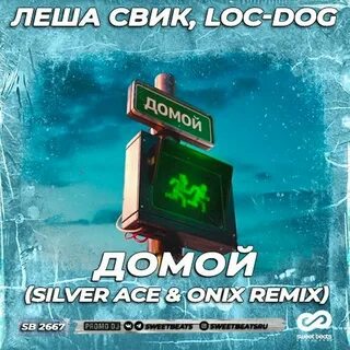 Silver ace onix