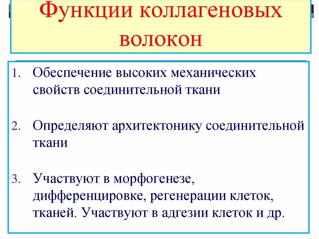 Коллаген выполняет функцию