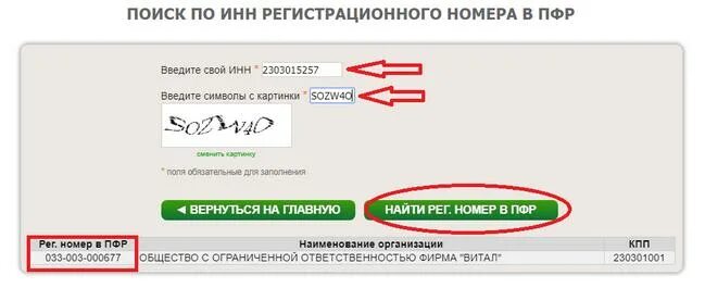 Узнать инн по номеру сфр. Регистрационный номер в пенсионном фонде РФ как узнать. Рег номер ПФР. Регистрационный номер в ПФР по ИНН. Регистрационный номер в ПФР по ИНН организации.