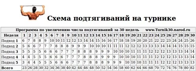 Схема увеличения отжиманий от пола. Схема прокачки отжиманий. Схема тренировок отжимания от пола. Таблица тренировок отжиманий от пола для мужчин. Количество отжиманий от пола