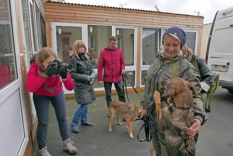 Регистрация приюта