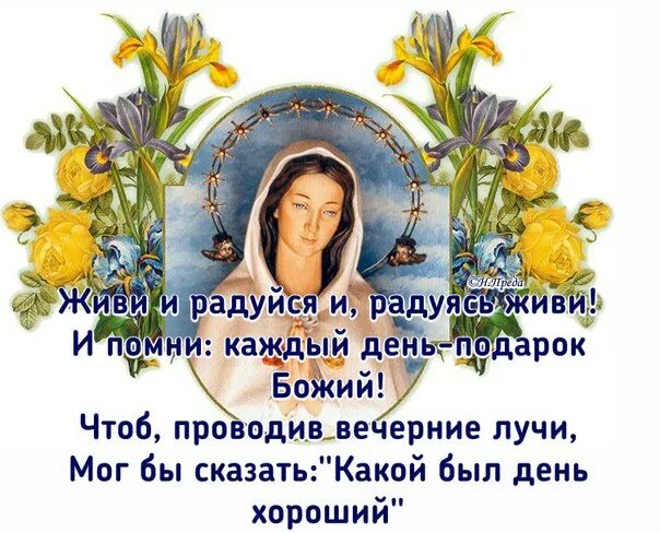 Помни каждого список. Живи и радуйся и радуясь живи. жить и радоваться каждому дню. живи и радуйся и радуясь живи и помни каждый день безмерно дорог. живи и радуйся стихи.