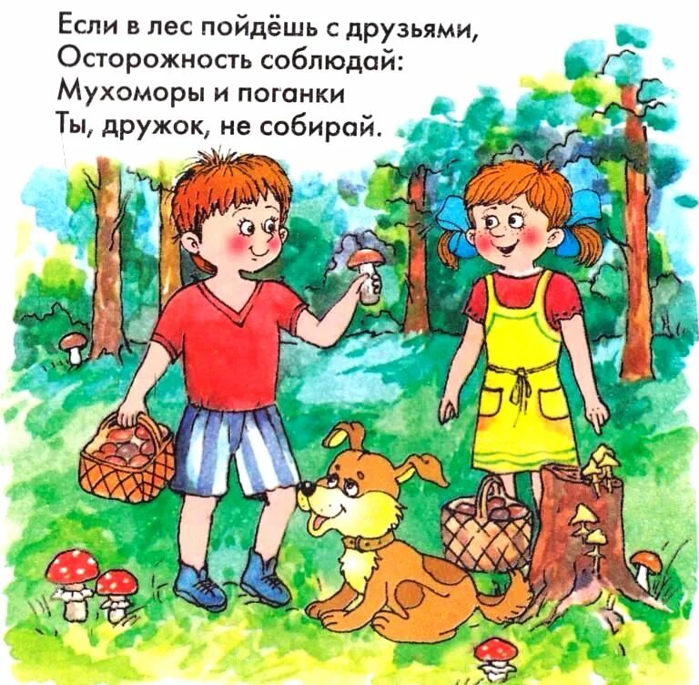 Безопасность в лесу. Безопасность поход в лес для дошкольников. Иллюстрации правил поведения в лесу. Безопасность в лесу летом для детей. Безопасность ребенка на природе