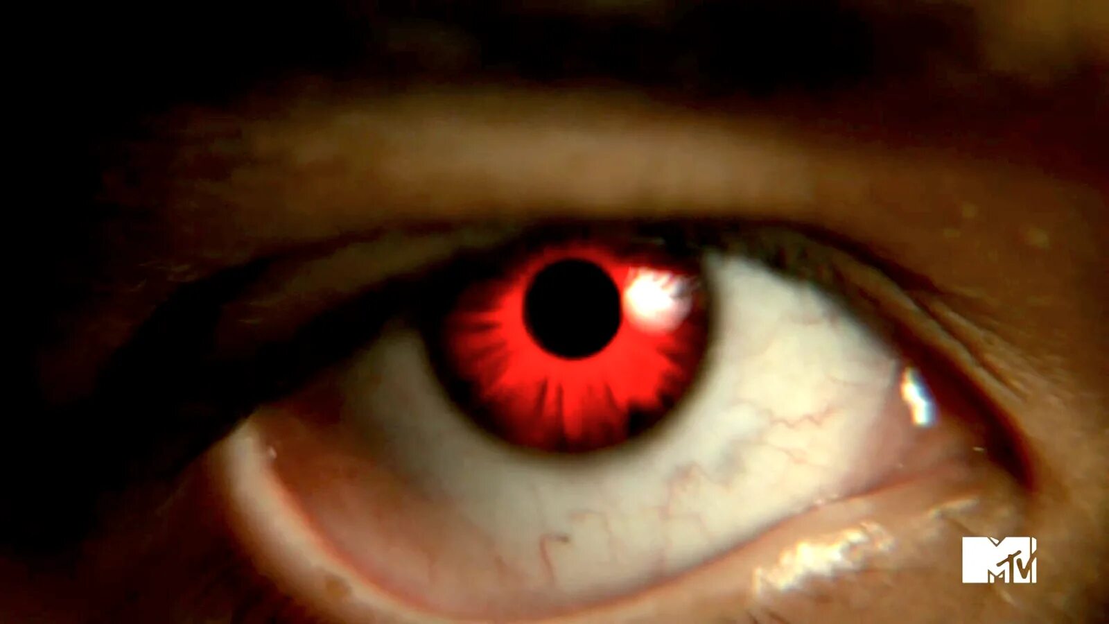 Отражение в глазах. Глаза альфы волчонок. Синие глаза. Глаза призрака mass effect. Глаза репликанта.