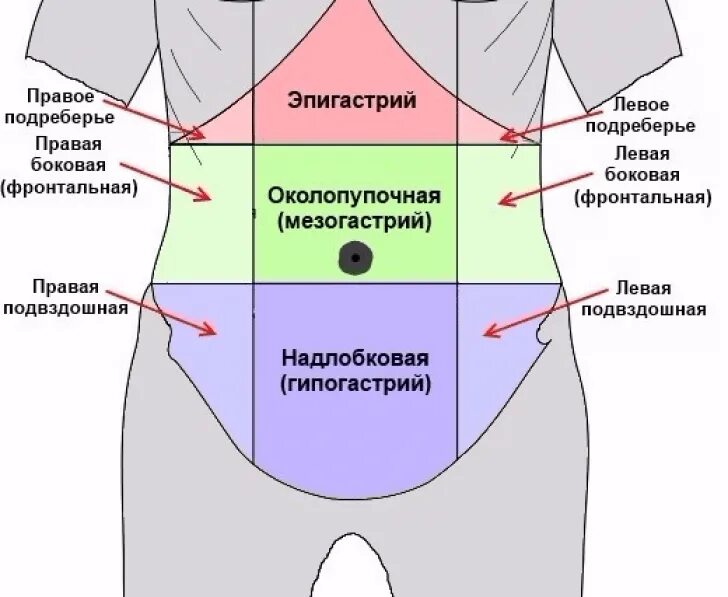 Почему может болеть под ребрами. Эпигастральной области. Области живота. Зоны живота. Эпигастрии мезогастрии.