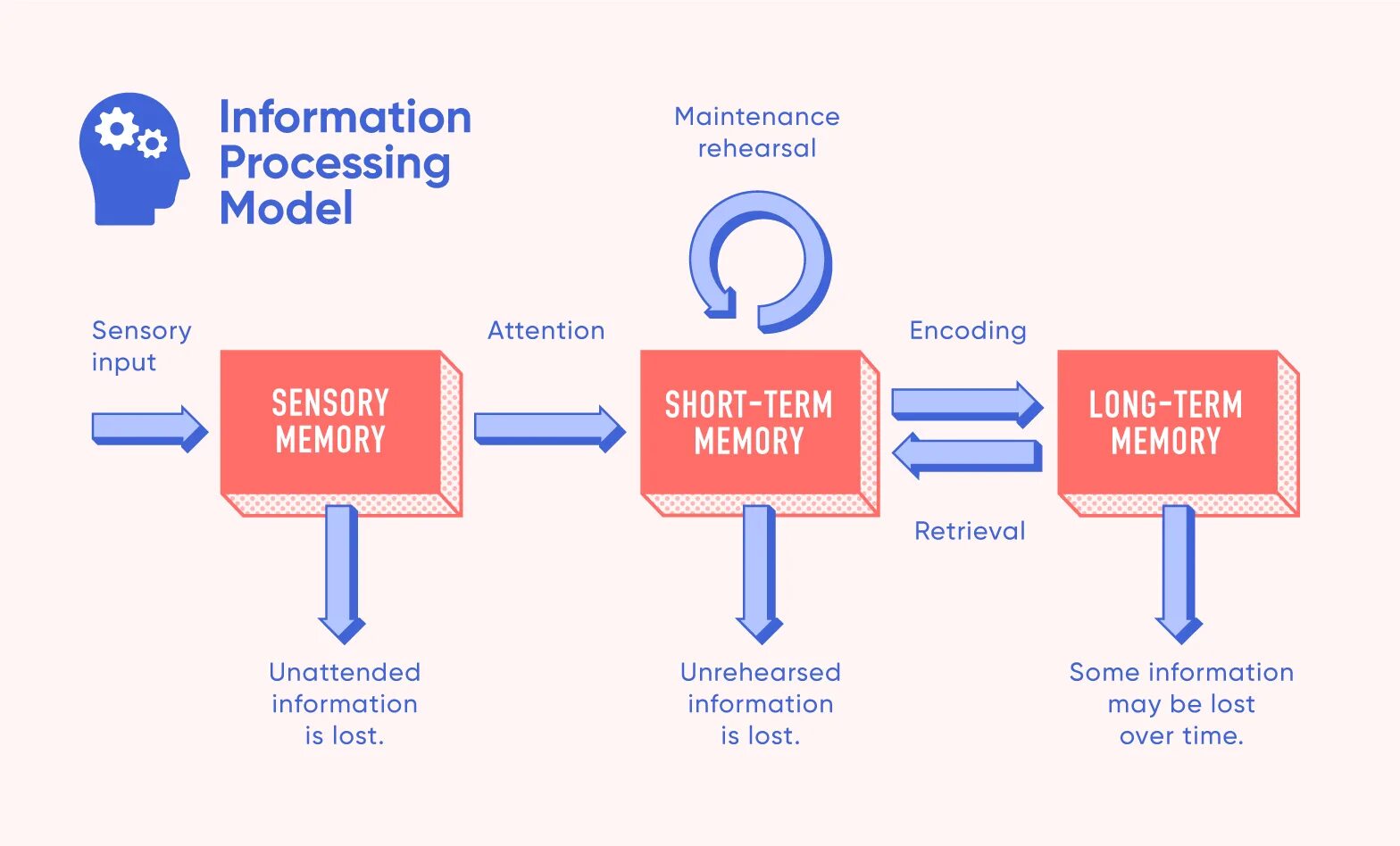 Process losso. Information processing. information processes. информационные технологии. social cognitive theory модель.