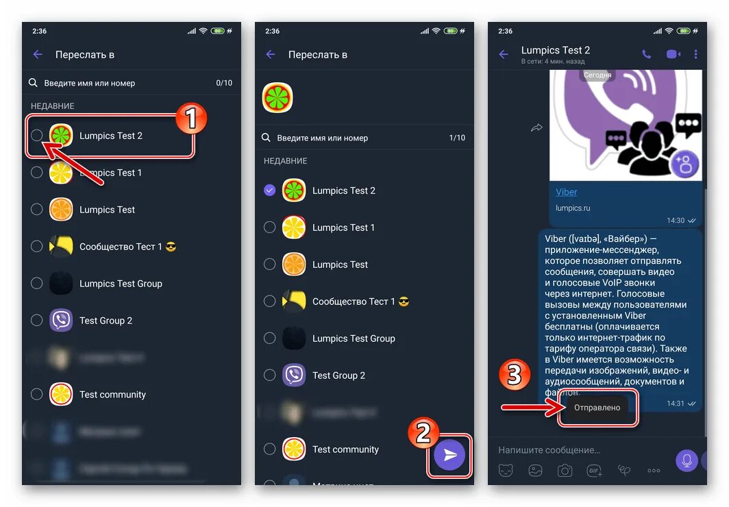 Как переслать голосовое в вайбере. Как переслать сообщение в вайбере. Пересылка сообщений Viber. Как переслать сообщение из вайбера. Вайбер мессенджер пример.