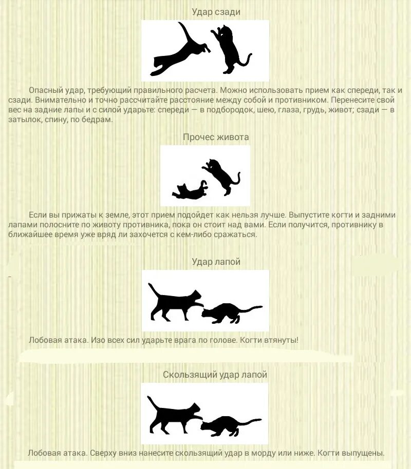 Боевые приёмы коты воители. Боевые приёмы коты воители. Коты воители боевые приемы. Боевые приёмы котов. Удар сзади коты воители.