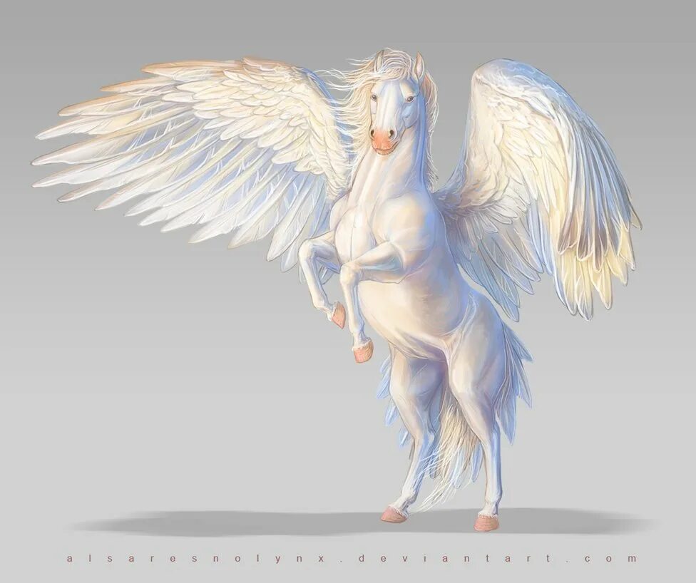 Кто является отцом пегаса. Лошадь с крыльями. Единорог с крыльями. Мифическая лошадь с крыльями. Белая лошадь с крыльями.