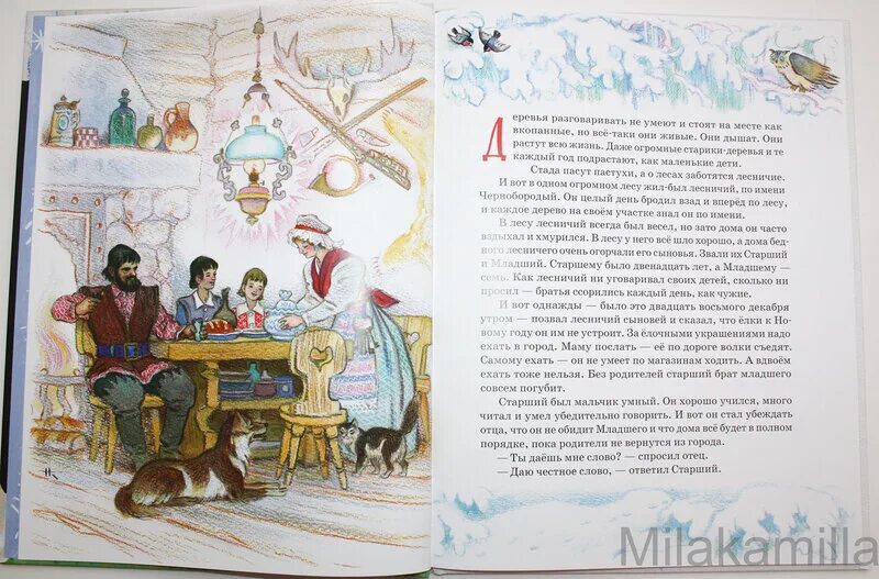 Два брата шварц читать. Шварц е. Краткий пересказ два брата шварц. Сказки". Отзыв о сказке два брата.