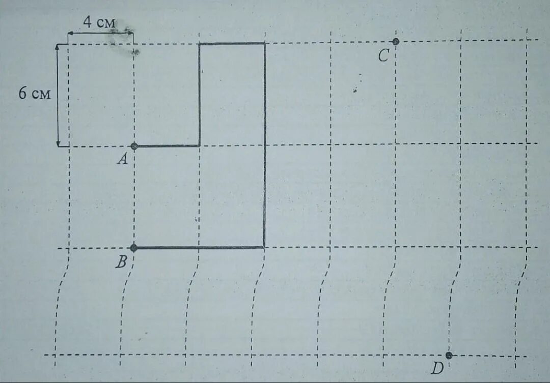 Лист бумаги расчерчен на прямоугольнике со сторонами. Лист бумаги расчерчен на прямоугольники. Лист расчерчен на прямоугольники со сторонами. Лист бумаги расчерчен на прямоугольники со сторонами 4 см и 6. Лист бумаги расчерчен на прямоугольники со сторонами 4.