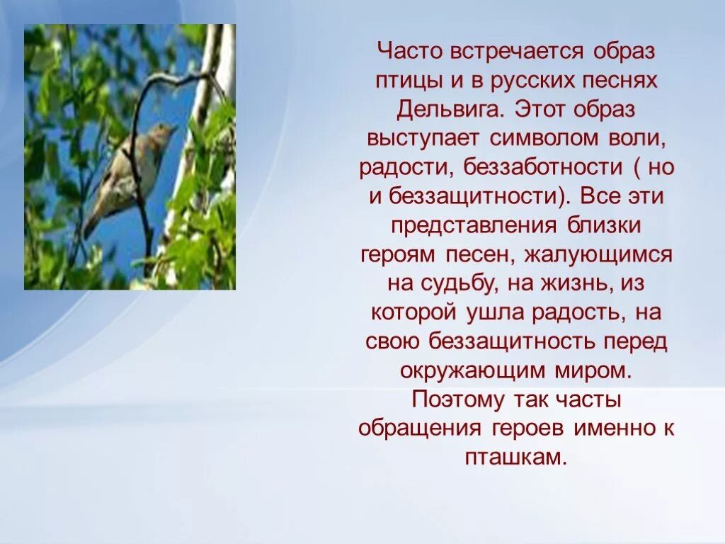 Песни русских птиц. История создания романса Соловей. Слова Соловей Дельвига. Тема романса Соловей. Соловей стихотворение Дельвиг.