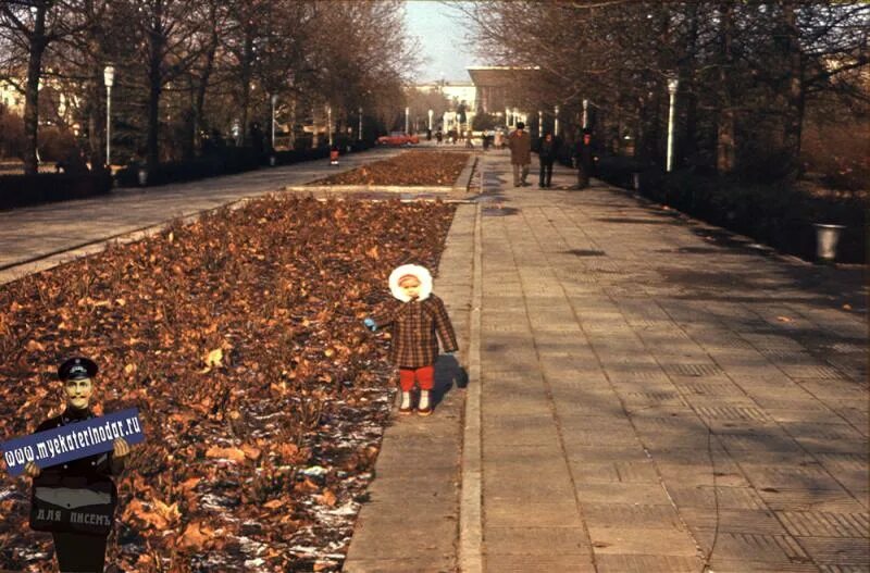 кубанский государственный университет краснодар. краснодарский университет кубгу. магазин хозтовары ссср. димитрова кубанский государственный университет. угол улицы мира и коммунаров краснодар.