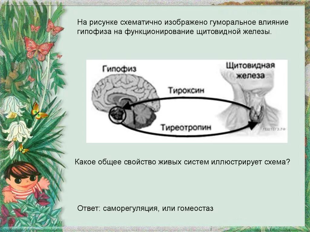 Какое свойство живых систем иллюстрируют данные диаграммы. Общее свойство живых систем иллюстрируют. Свойства живых систем. Общие свойства живых систем. Свойства живого иллюстрации.