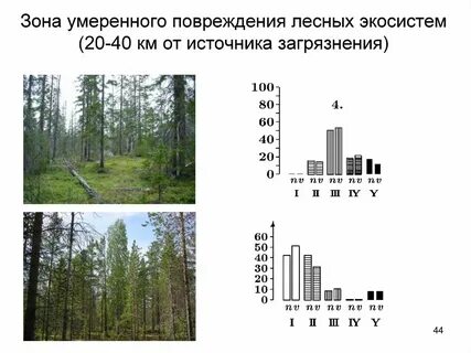 Умеренная зона
