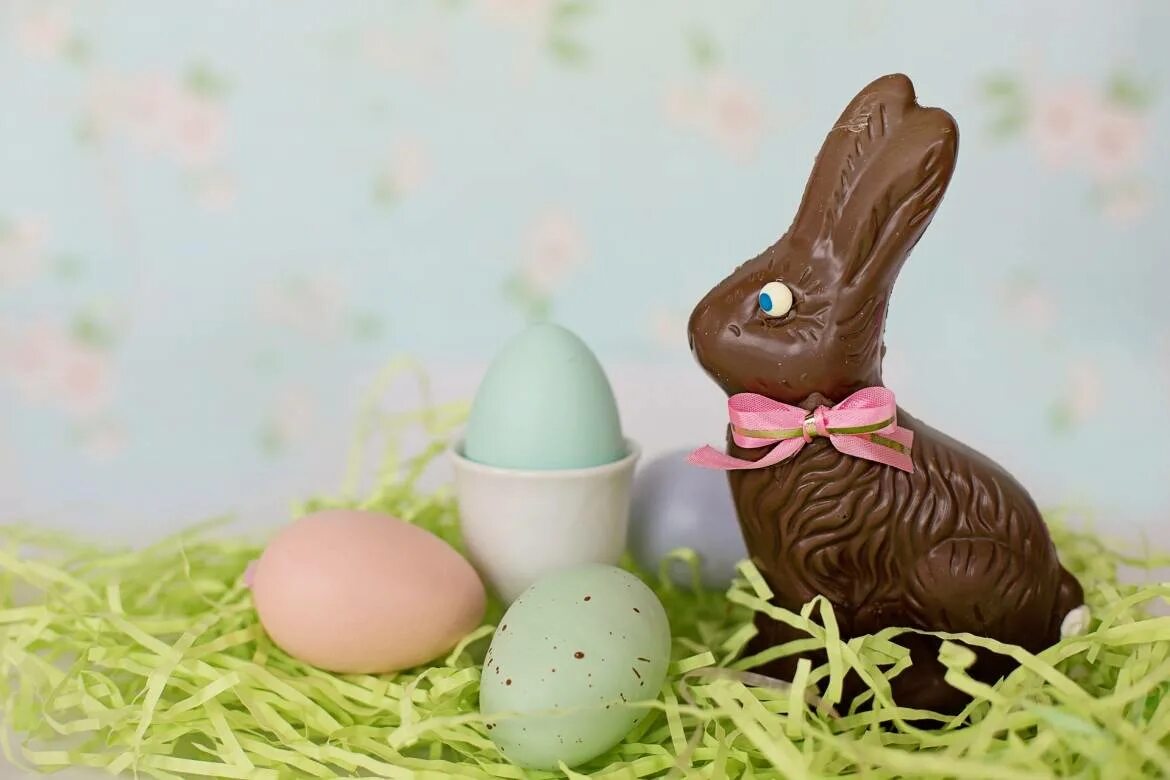 Пасхальный шоколад. Шоколадный заяц (Chocolate Bunny). Шоколадный Пасхальный кролик. Шоколад на Пасху. Шоколадные яйца на Пасху.