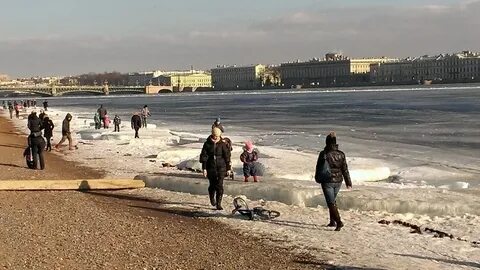Температура невы сегодня