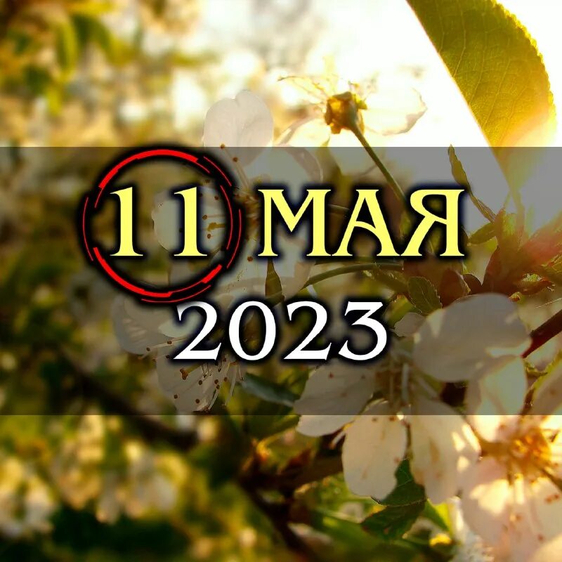 Лунное небо. 21 января лунный день. Сегодня день. 21 января лунный день. Растущая луна 13 день луны.